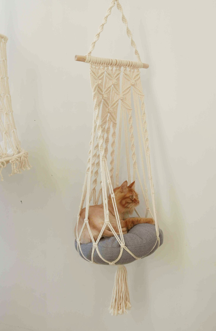 ginger cat relaxes inside one of the hanging cat hammocks