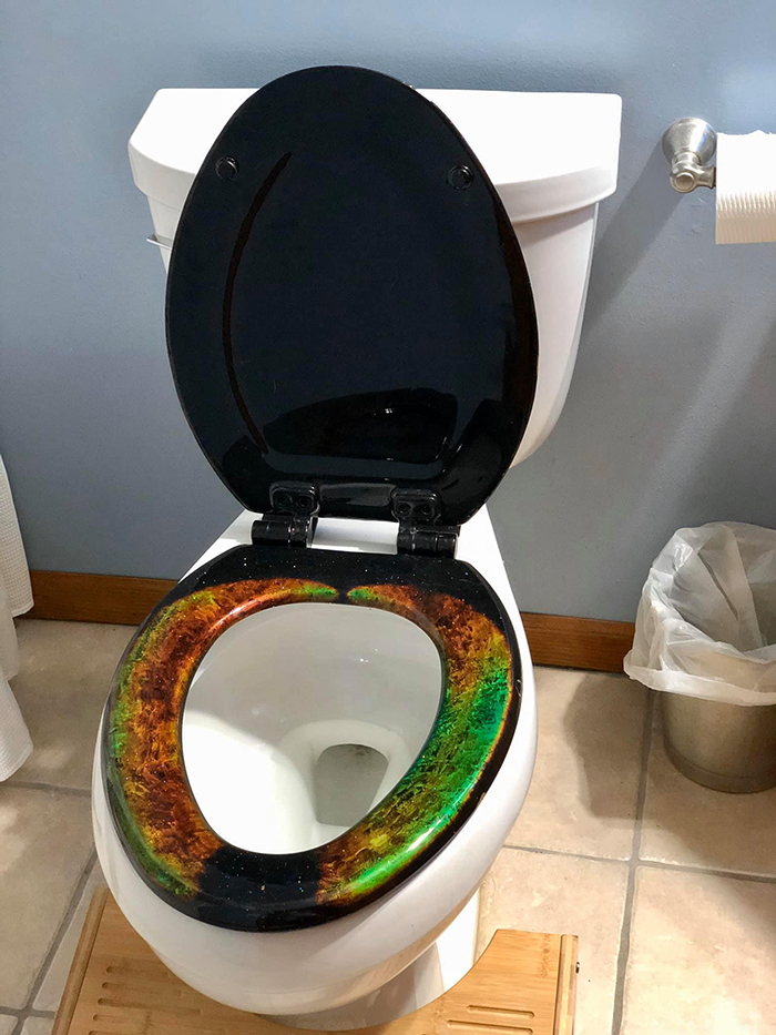 mood ring toilet seat by the engineer artisans