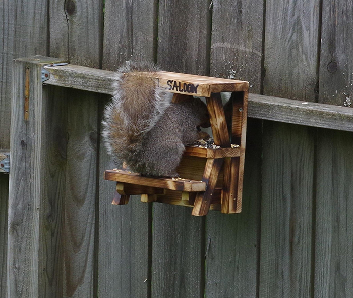 oldsaybrookwoodcraft wooden outdoor critter feeder