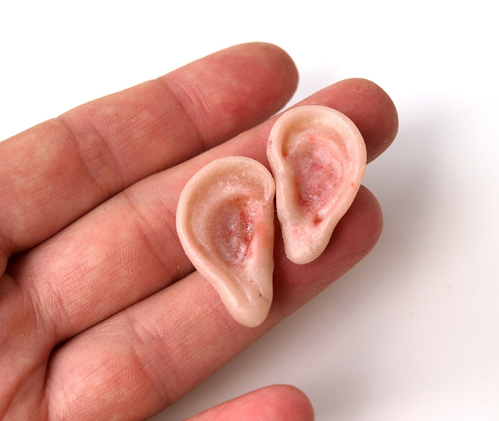 weirdsculpture human ear earrings