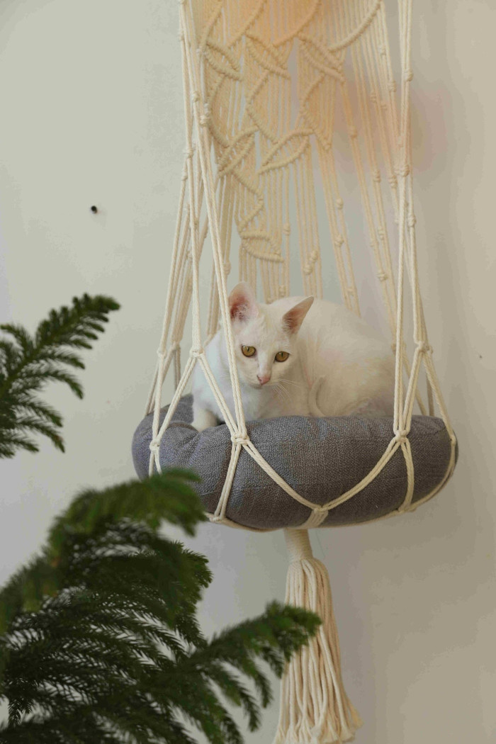 white cat curls up while inside the hanging macrame cat bed