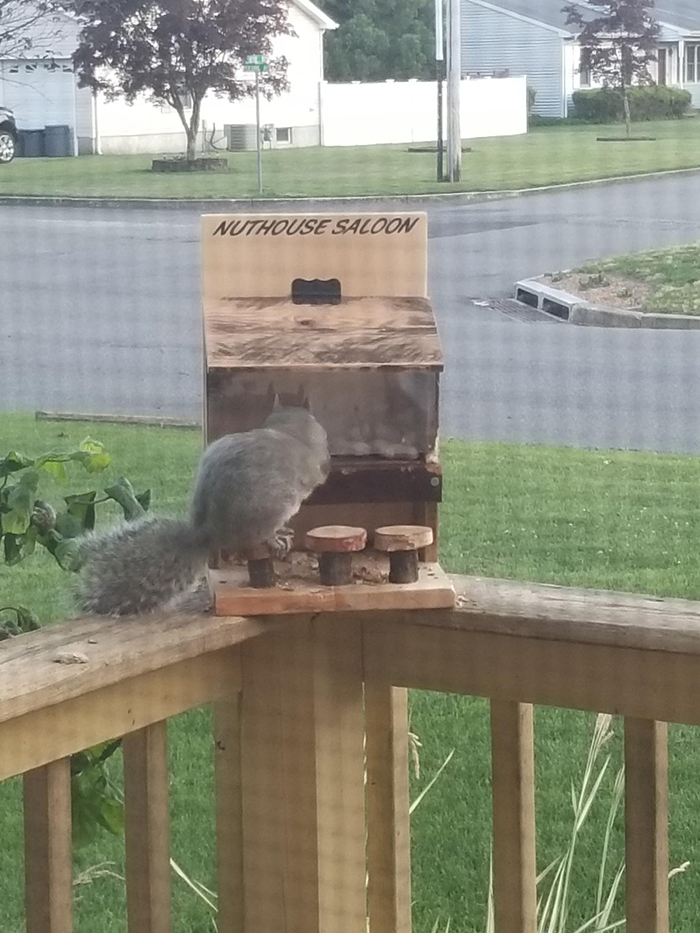 woodanthings feeder for outdoor critter