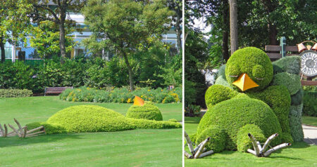 Topiary Sculpture of a Sleeping Baby Bird