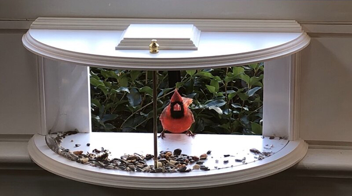 inside house bird feeder