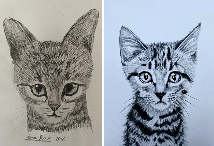 cat drawing progress