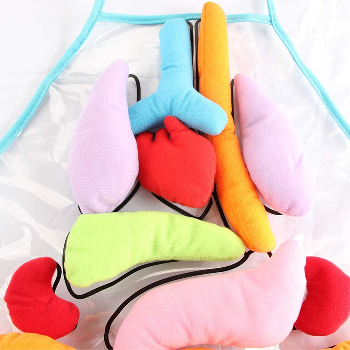 colorful plush organs educational toy