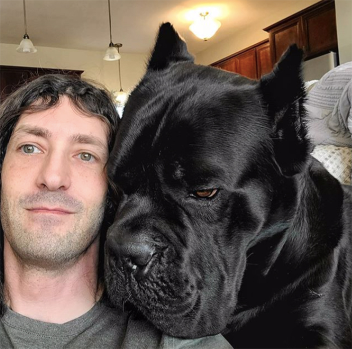 comparison images human vs cane corso head size