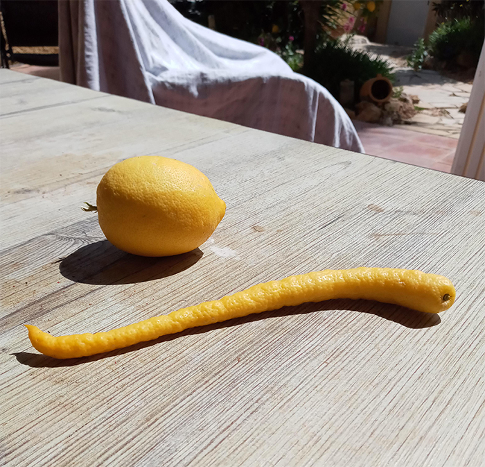 weird lemon vs normal lemon