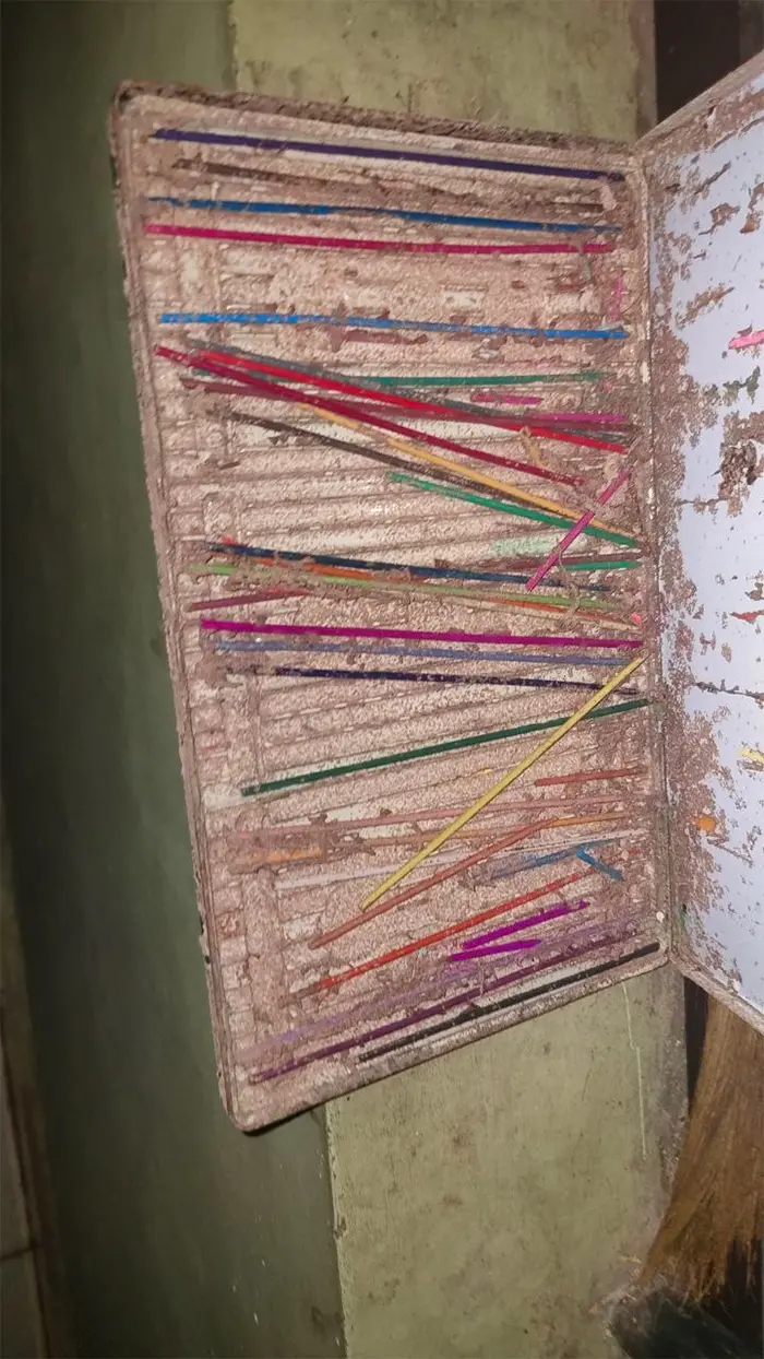 worn down color pencils wood eaten by termites