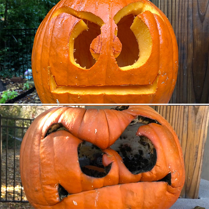 worn down goomba pumpkin