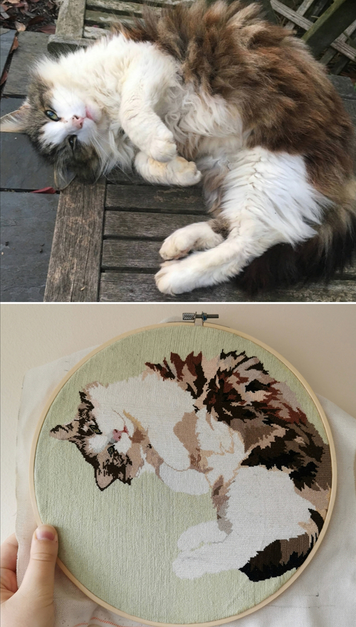 cross-stitch art curled up cat