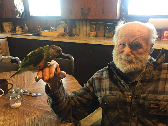 grandfather holding a parrot