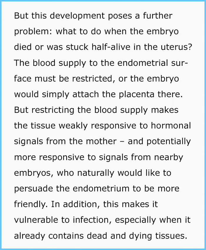 suzanne sadedin pregnancy and periods endometrium blood supply