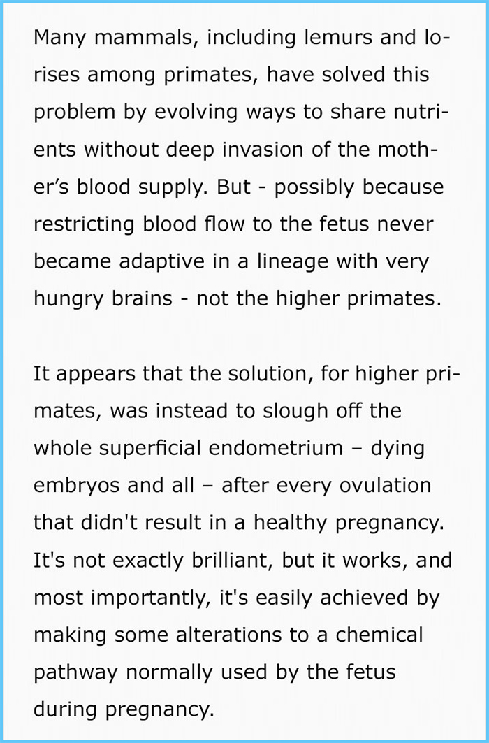 suzanne sadedin pregnancy and periods endometrium sloughing