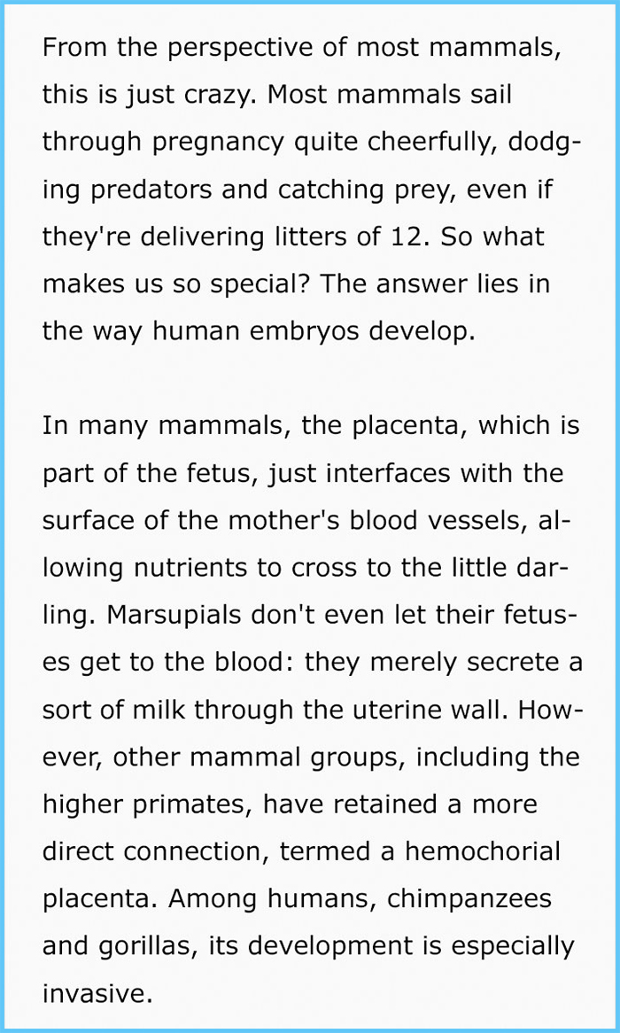 suzanne sadedin pregnancy in mammals and humans