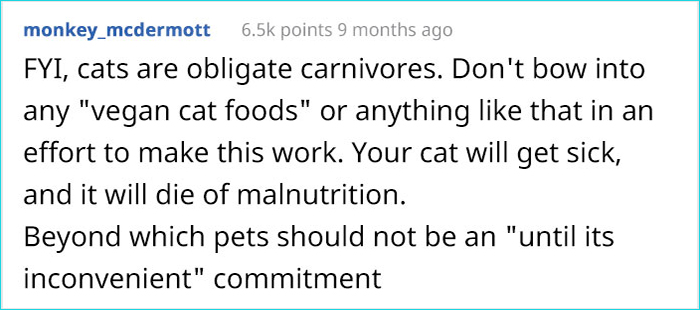 vegan gf demands man to give away his pet comment monkey_mcdermott