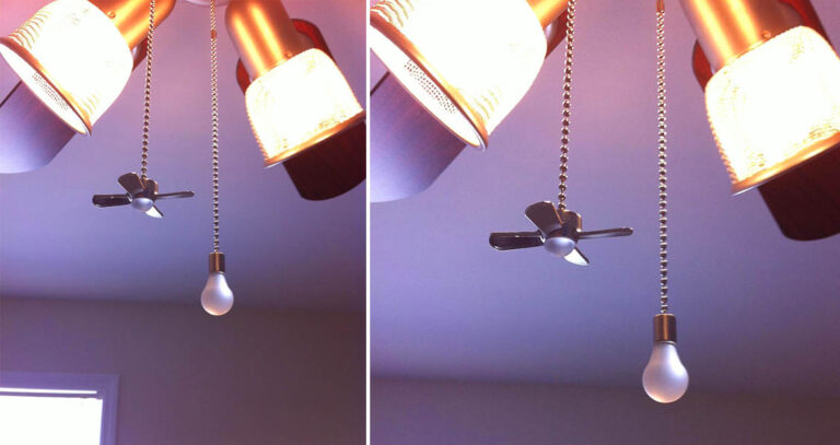 Fan and Light Bulb Shaped Pull Chains