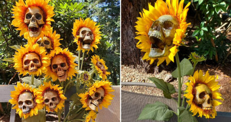 Skull sunflowers