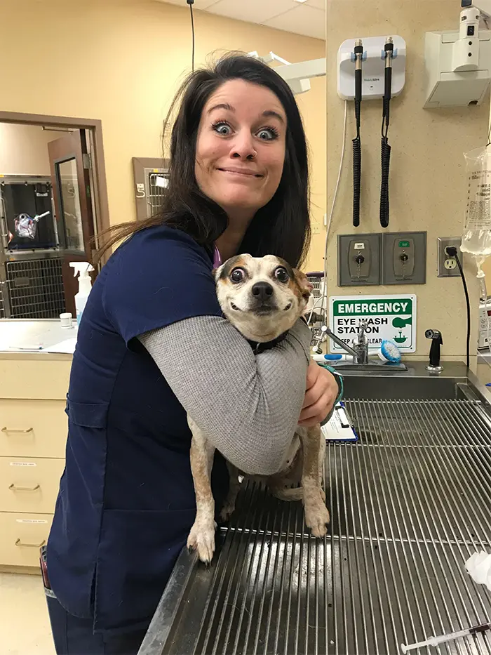 cute pets at the vet dog shocked expression