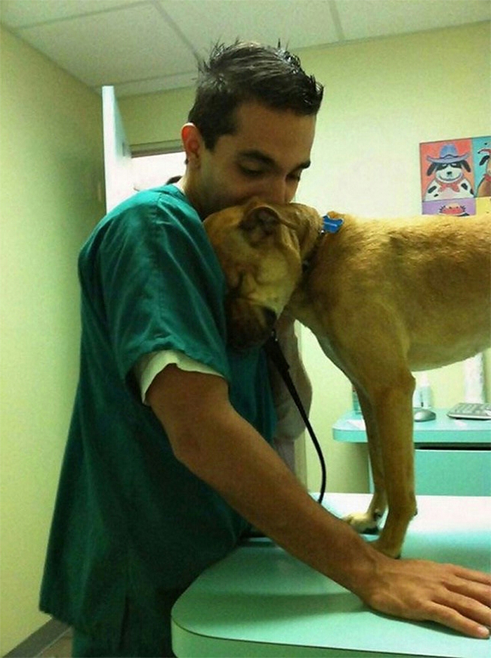 cute pets at the vet dog thank you gesture