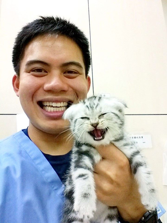 cute pets at the vet happy kitten