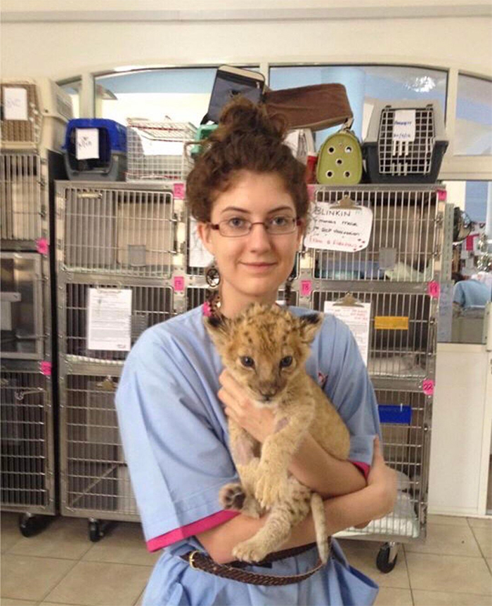 cute pets at the vet lion cub