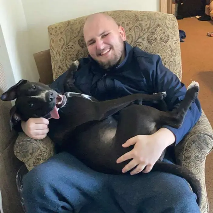 dog making funny face while sitting on owner's lap