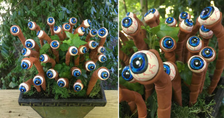 eyeball plants