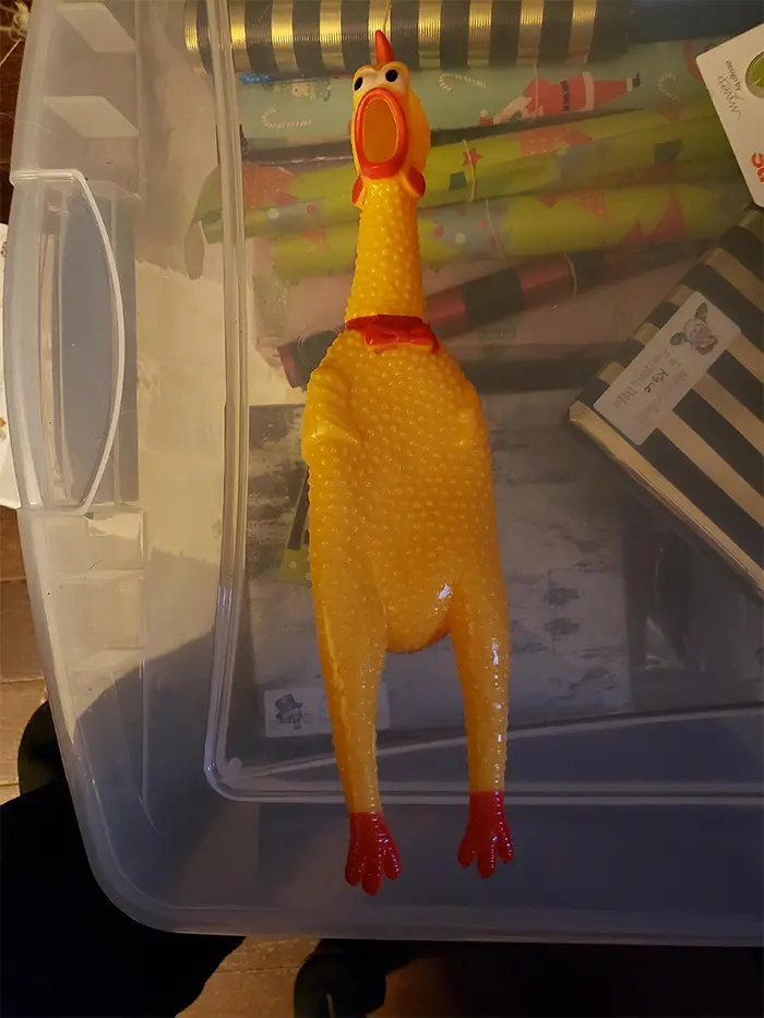 hilarious seniors rubber chicken toy