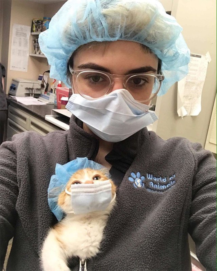 new vet assistant