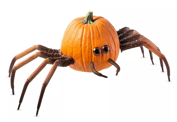 pumpkin spider kit