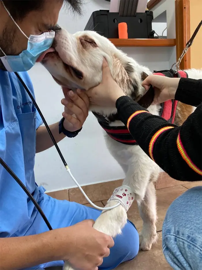 puppy giving vet a kiss