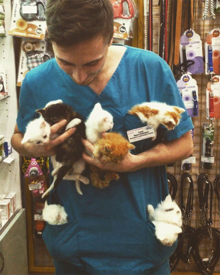 vet carrying kittens