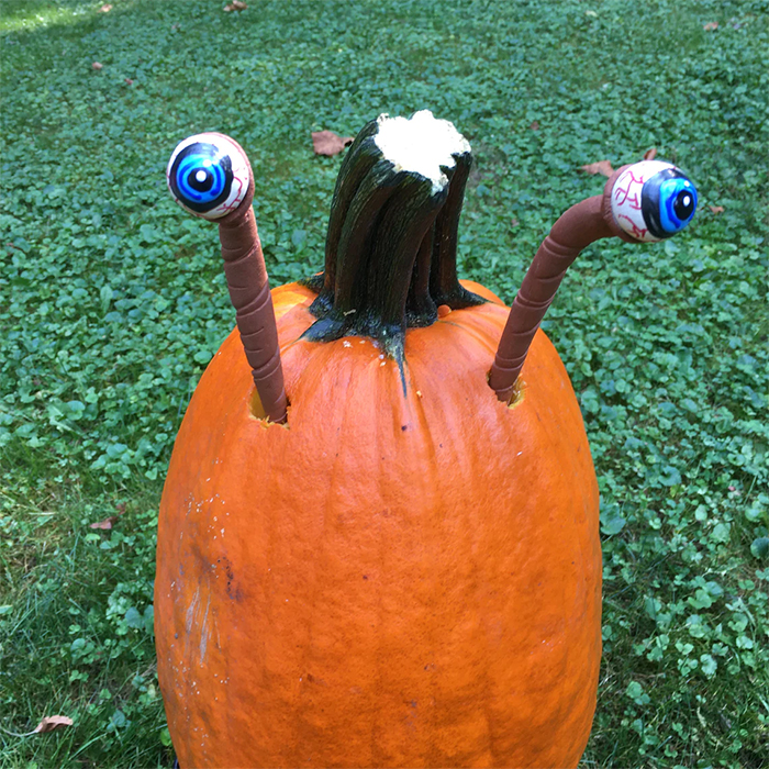 weird looking pumpkin alien