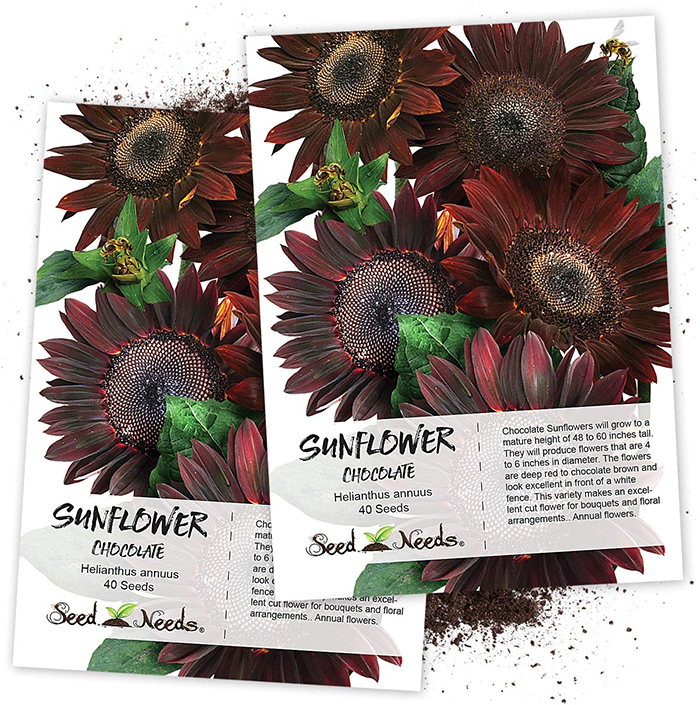 chocolate sunflowers seeds