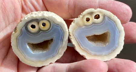 cookie monster agate