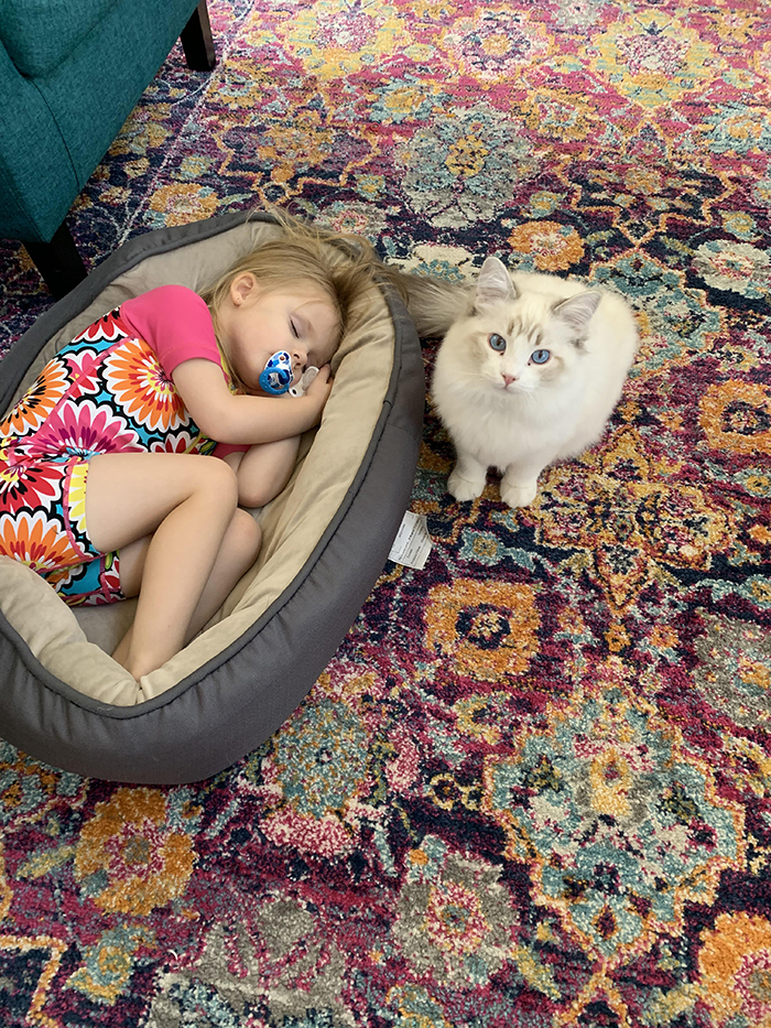 girl sleeping on cat's bed