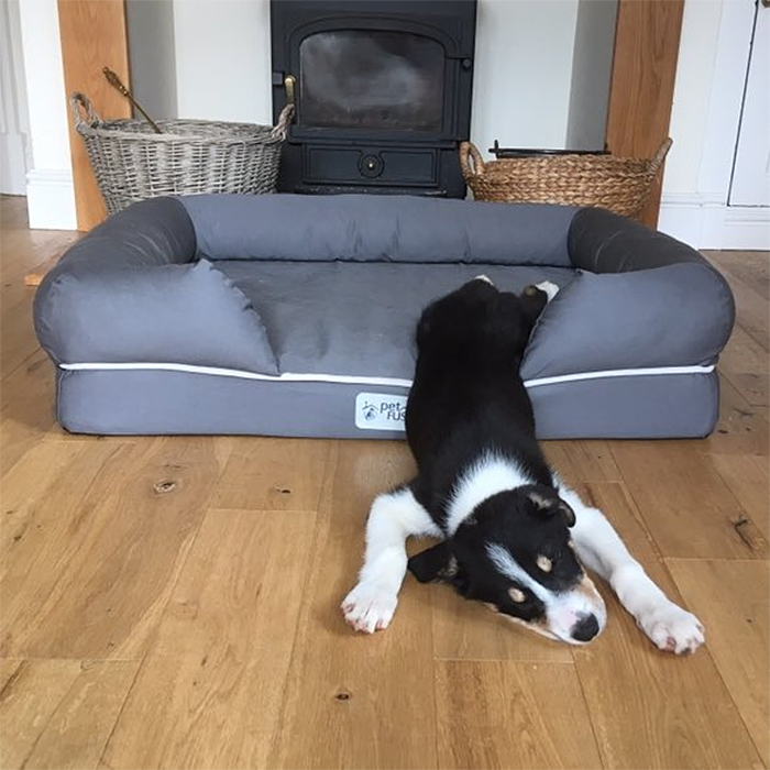 puppies sleeping funny legs on bed