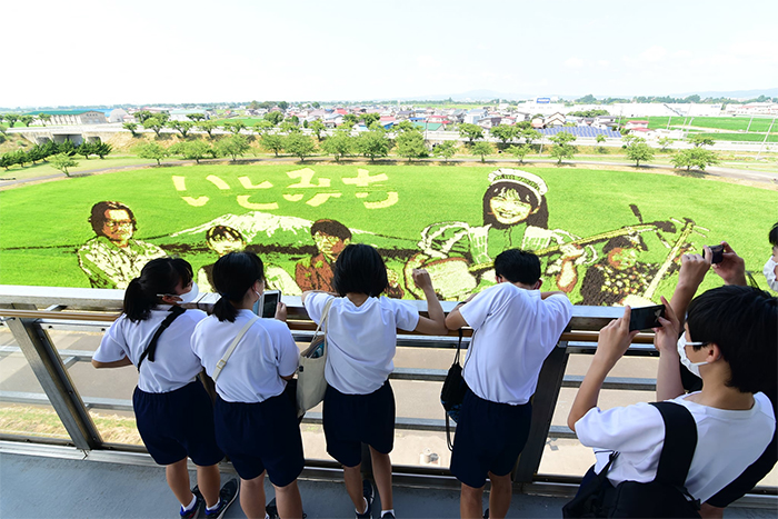 rice paddy art 2021 inakadate japan