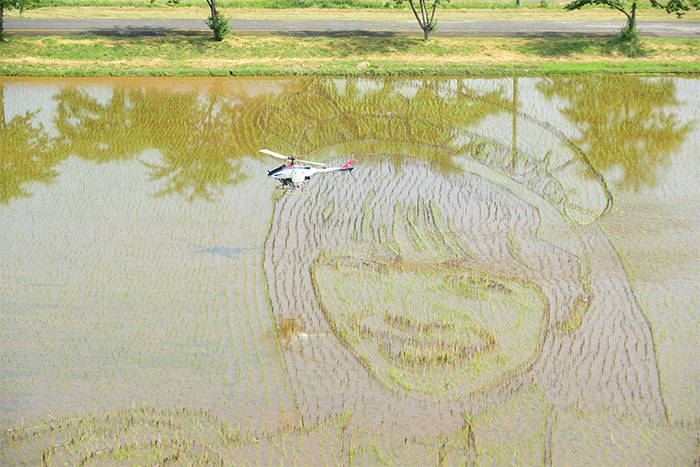 rice paddy art inakadate japan 2021 theme