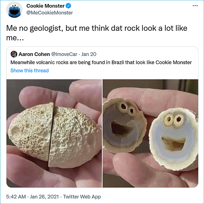 rock cookie monster lookalike