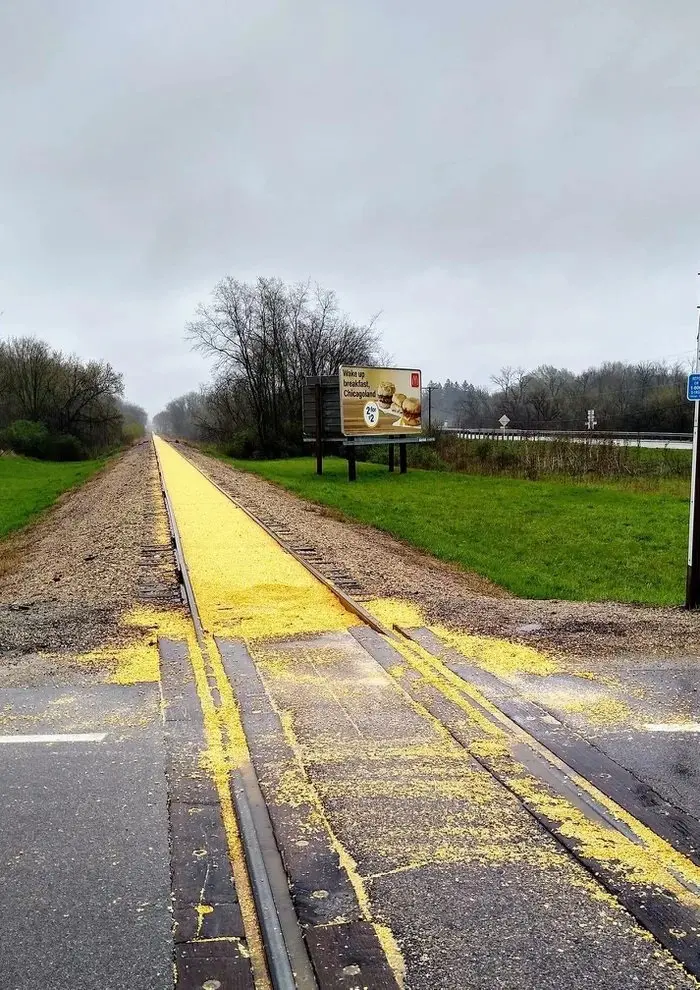 scattered corn kernels on road