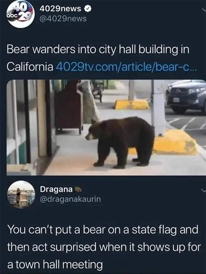 technically true california bear
