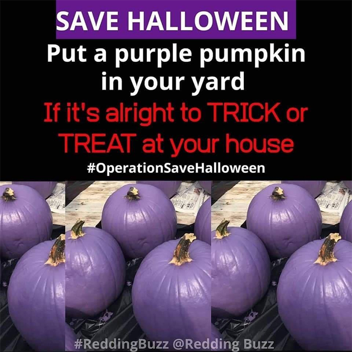 purple pumpkins save halloween