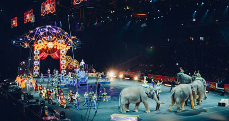 ban circus using animals