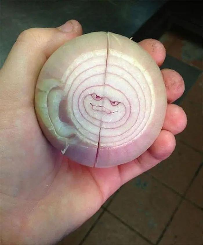 faces everywhere creepy onion