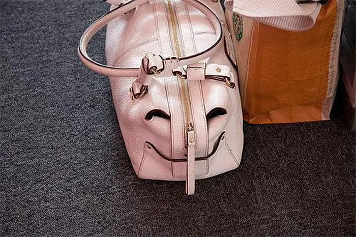 funny pareidolia happy bag