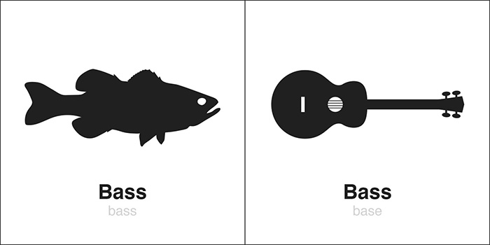 homographs illustrations bass