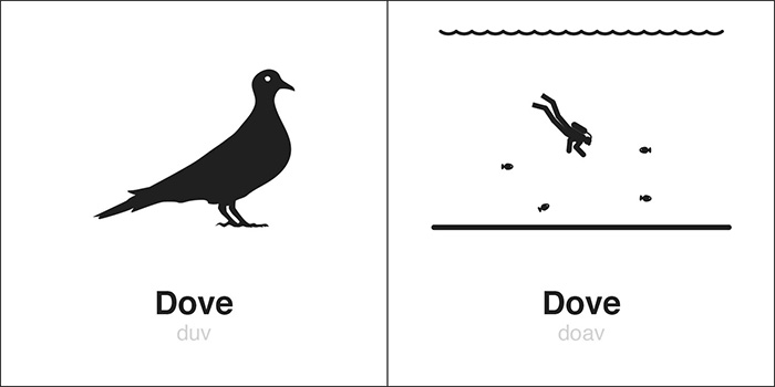 homographs illustrations dove