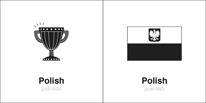 homographs illustrations polish